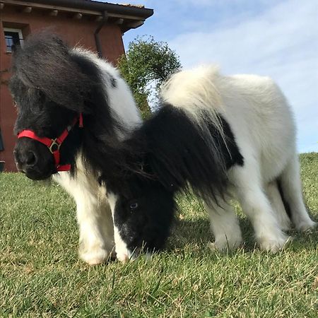 B&B Ca Bianca Dell'Abbadessa San Lazzaro di Savena Bagian luar foto