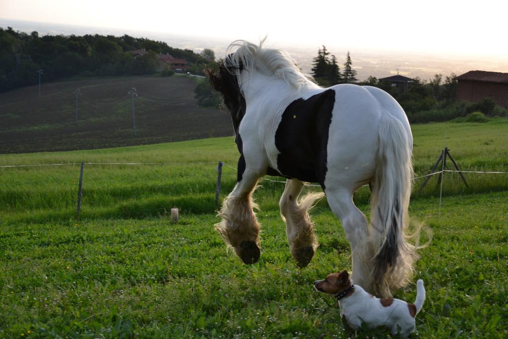 B&B Ca Bianca Dell'Abbadessa San Lazzaro di Savena Bagian luar foto