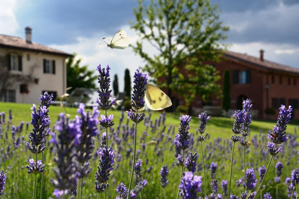 B&B Ca Bianca Dell'Abbadessa San Lazzaro di Savena Bagian luar foto