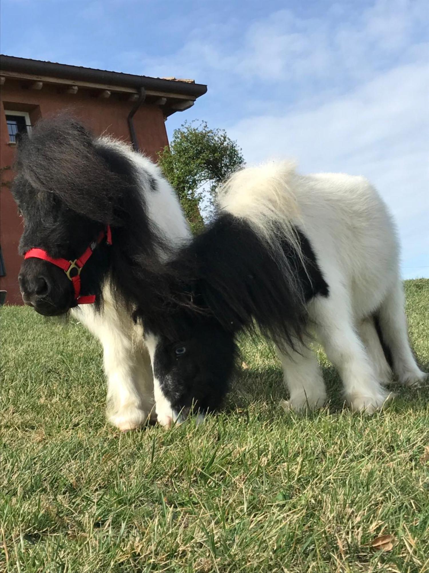 B&B Ca Bianca Dell'Abbadessa San Lazzaro di Savena Bagian luar foto