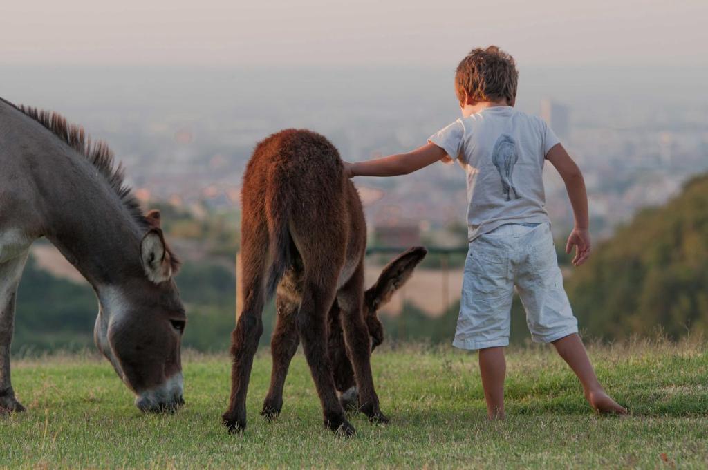 B&B Ca Bianca Dell'Abbadessa San Lazzaro di Savena Bagian luar foto