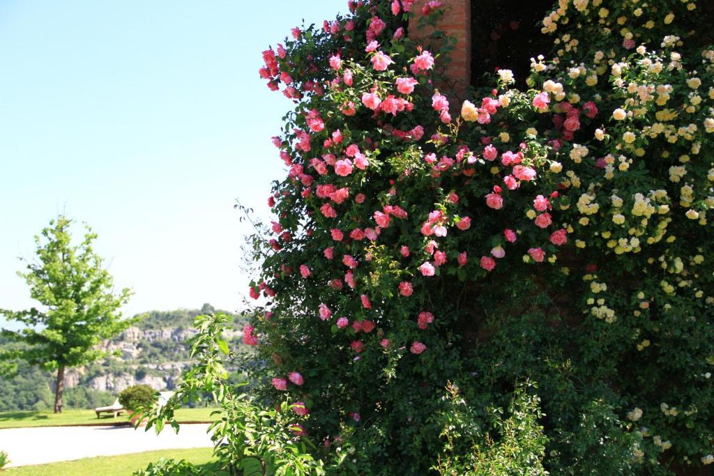 B&B Ca Bianca Dell'Abbadessa San Lazzaro di Savena Bagian luar foto