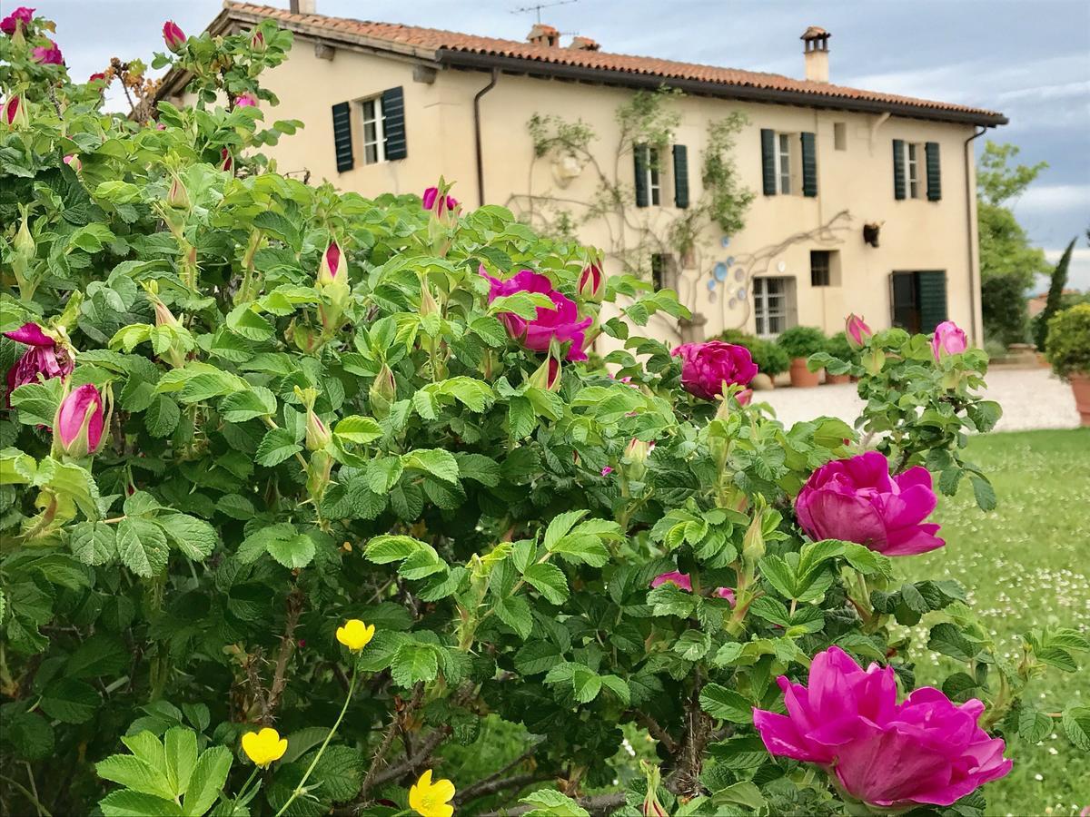 B&B Ca Bianca Dell'Abbadessa San Lazzaro di Savena Bagian luar foto